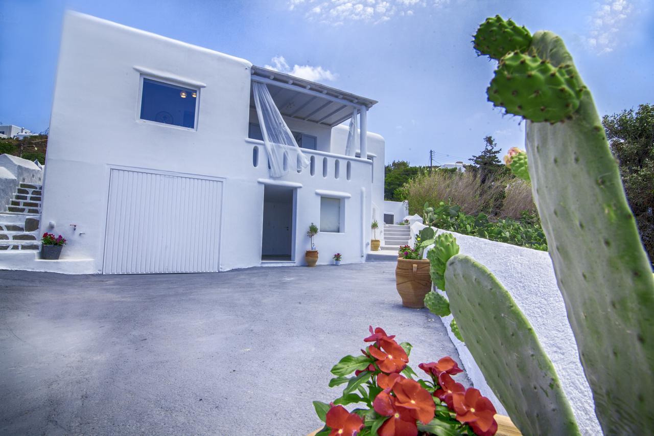 Sole Mare Villa Mykonos Town Экстерьер фото